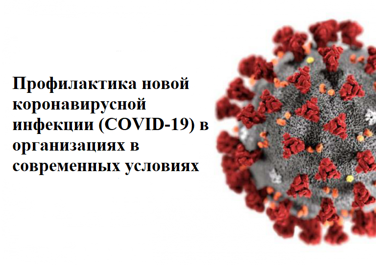 Профилактика новой коронавирусной инфекции картинки.